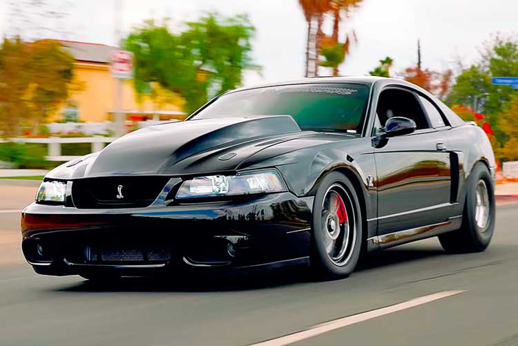 2003-svt-cobra-terminator