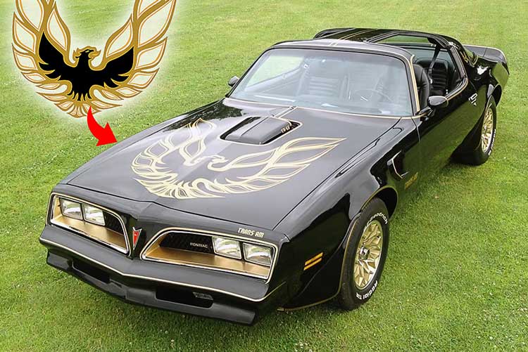 pontiac-hood-bird-decal